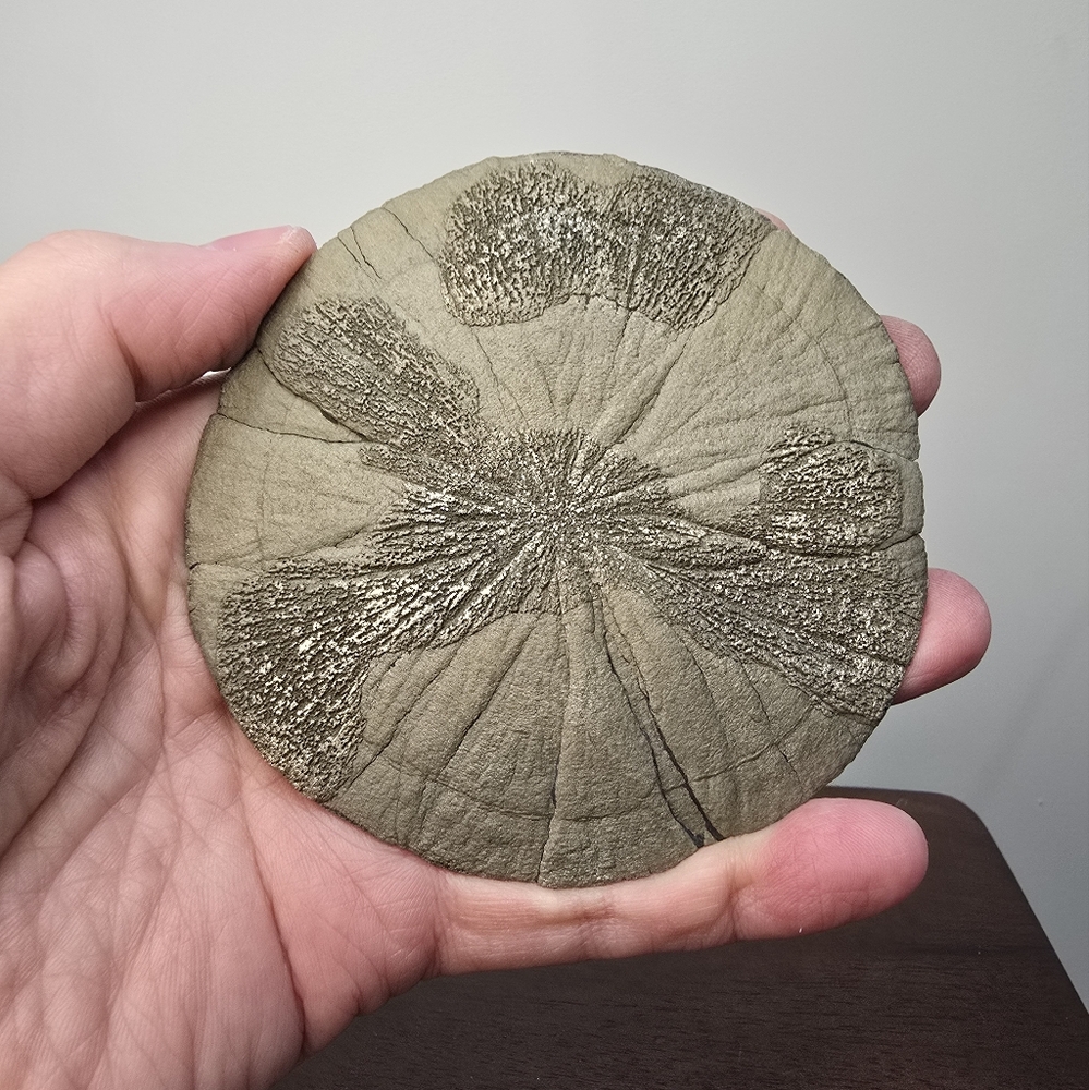 Pyrite Sun Crystal 3.8 inches - Picture 11 of 11